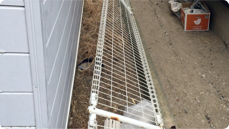 倒れたフェンス